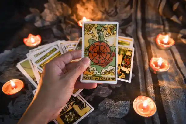 tarot cards Saluda